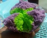 Foto langkah ke 5 dari resep Bolu kukus pelangi lembut dan mekar...