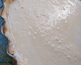 Foto del paso 6 de la receta: Tarta de ricota