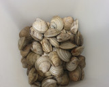 Foto del paso 1 de la receta: Paella marinera