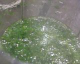 A picture of step 4 of Ewedu Soup.