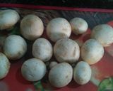 A picture of step 2 of Mushroom masala curry.