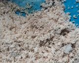 Foto langkah ke 2 dari resep Urap sayuran bumbu simpel.