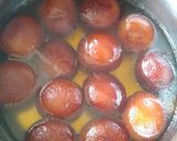 A picture of step 5 of Gulab Jamun made of milk powder.
