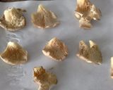 Foto del paso 1 de la receta: Pechugas de codorniz con setas al horno