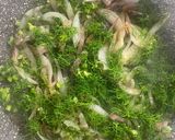 Foto del passaggio 2 della ricetta Tortiglioni al finocchietto selvatico