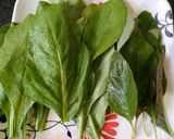 A picture of step 5 of Crispy leaves.