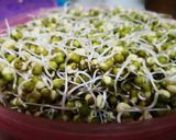 A picture of step 1 of Sprouts Mung sabji.