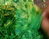 होममेड कसूरी मेथी (Homemade kasoori methi recipe in Hindi) रेसिपी चरण 3 फोटो