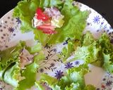 A picture of step 5 of Lettuce Salad Packet.