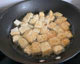 Mapo tofu recipe step 2 photo