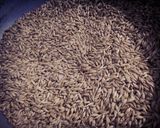 A picture of step 2 of Jaun (Barley)ke Sattu ka juice.