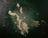 Foto langkah ke 2 dari resep Udang Tumis Nanas.