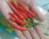 Foto langkah ke 3 dari resep 19. Nano nano mangga muda.