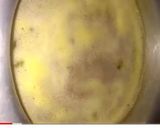 A picture of step 2 of Dhaba style daal.