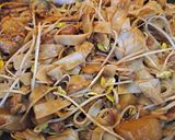 A picture of step 5 of Squid and Chicken stir-fry.