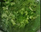 પાલક પનીર પરોઠા (Palak Paneer Paratha Recipe In Gujarati) રેસીપી સ્ટેપ1ફોટો