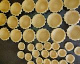 Foto langkah ke 2 dari resep Pie Brownies.