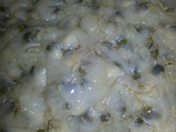 Sup Kerang Segeerr....