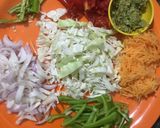 વેજ સેઝવાન ફા્ઈડ રાઈસ (Veg. Schezwan Fried Rice Recipe In Gujarati) રેસીપી સ્ટેપ1ફોટો
