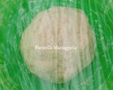Foto del passaggio 2 della ricetta Panini al latte farciti con patate fritte in friggitrice ad aria 👩‍🍳❤️