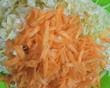 Foto langkah ke 2 dari resep Bakwan Bihun Sayur ala Mama RBBMIZ.