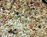 Foto del paso 3 de la receta: Granola Casera