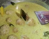 Foto langkah ke 4 dari resep Bola-Bola Ayam Opor Creamy.