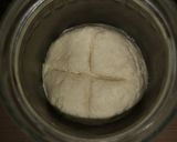 Lievito Madre kovász recept fázis 3 fotója