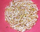 Foto langkah ke 1 dari resep Tauge Kacang Panjang Bunga Pepaya.