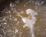 A picture of step 1 of Creamy Beef and Elbows Batch 2.