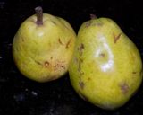 Foto del paso 1 de la receta: Peras en almíbar