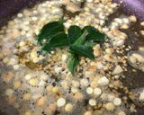 A picture of step 2 of Potato Masala for Dosa.
