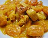 Persian Chicken  stew with dried apricots recipe step 16 photo
