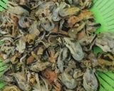Foto langkah ke 2 dari resep Oseng kerang + tahu.