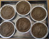 Hình bước làm 5 của món Pate gan - không mỡ