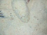 Muslitos de pollo (nugget estilo McDonald’s)