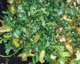 A picture of step 1 of Green Garlic Paratha.