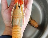 Foto del paso 2 de la receta: Calamar relleno de sus tentáculos, aletas y Cigala