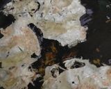 Foto langkah ke 3 dari resep Rempeyek Renyah.