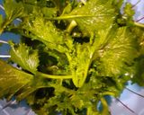 Foto del passaggio 4 della ricetta Orecchiette con le cime di rapa