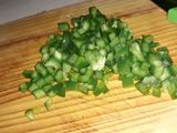 Chicken Fajita Springroll