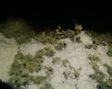 A picture of step 5 of Chicken half moons pie.