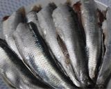Foto del paso 1 de la receta: Sardinas en Salazón