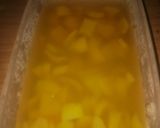 Foto langkah ke 6 dari resep Manisan Carica.