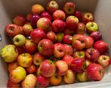 Une image de l'étape 1 de Jus de pomme maison 🧃.
