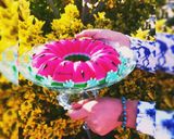 عکس مرحله 1 از دستور ژله هندوانه (یلدایی)🍉