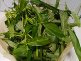 Kangkung Balacan