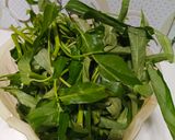 Foto langkah ke 1 dari resep Kangkung Balacan.