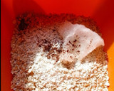 Foto del paso 1 de la receta: Tartaletas veganas saludables de coco 🥥 y frutas 🍓🫐🍃