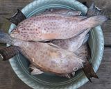 Foto langkah ke 2 dari resep Ikan Kerapu Goreng Sambal Tempong.